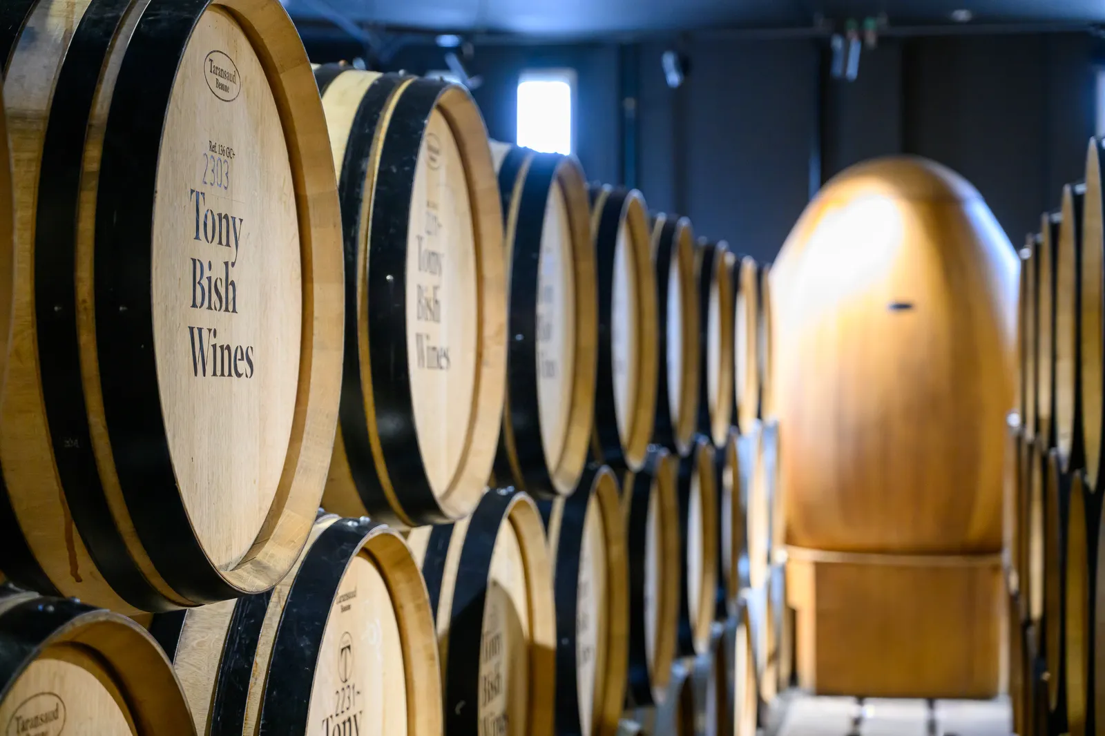 Wine barrels ageing in a cellar